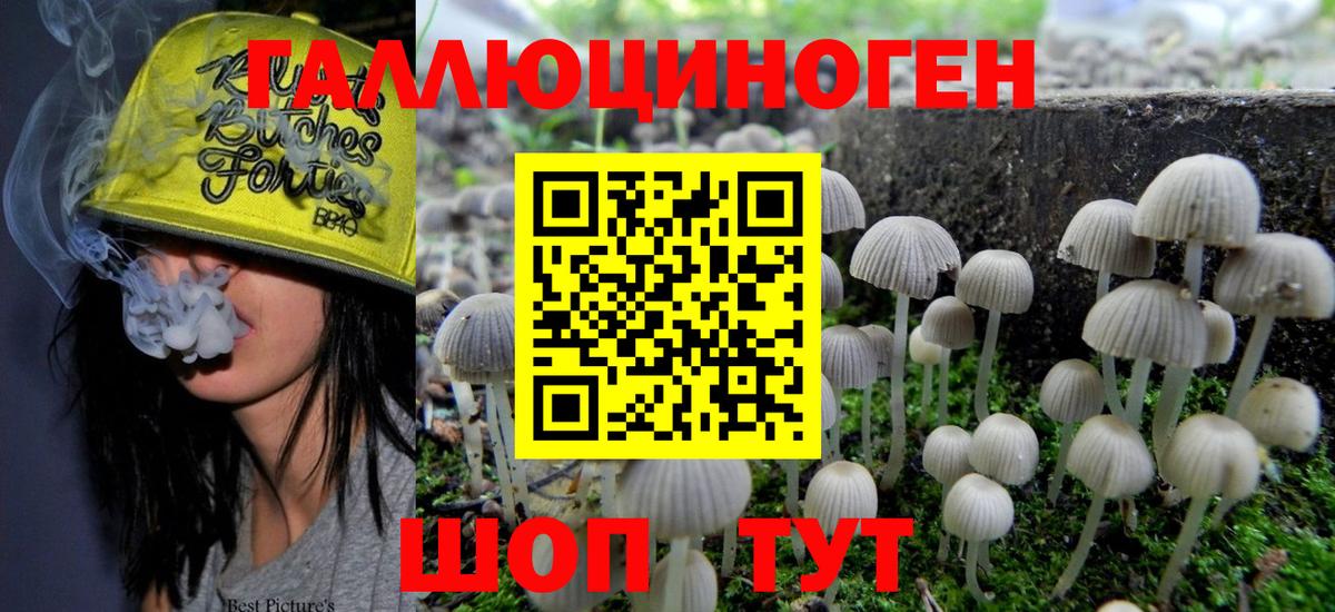 Псилоцибиновые грибы MAGIC MUSHROOMS  Вход с VPN  Великие Луки 